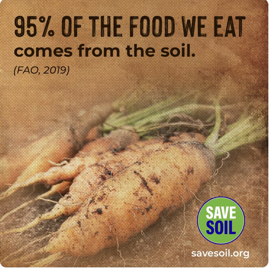 Roshnee06's tweet photo. Soil degradation will lead to serious food crisis…Save Soil🌱 #NoSoilNoFood 🍽 
@SadhguruJV #Savesoil https://t.co/hpHuiMbB9G
