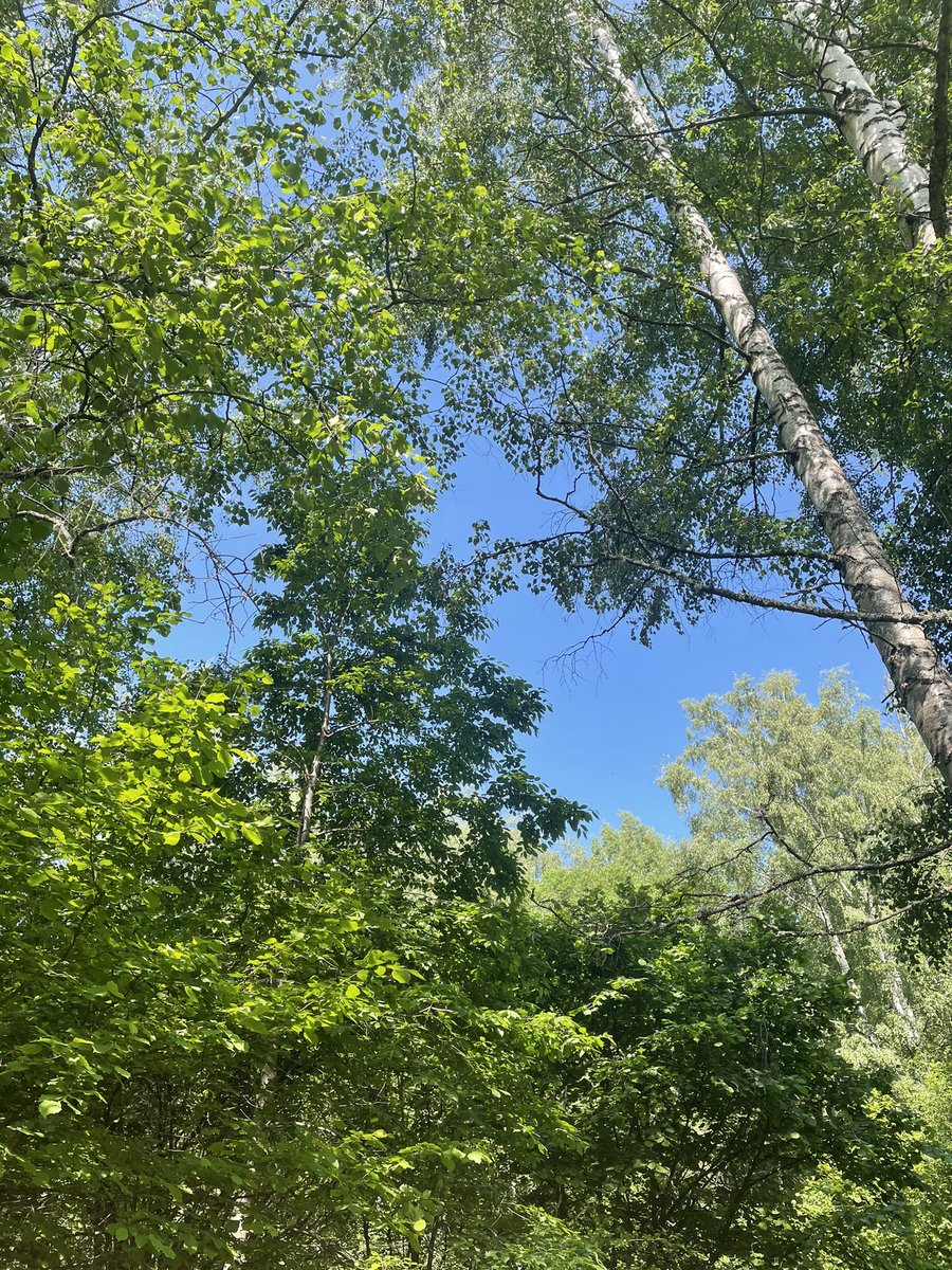TheBull1331's tweet photo. GM Life ☀️❤️🦋🌈♊️🌎🔥☕️❤️🔥Love and Passion ❤️🔥#NFTCommunity #NFT #love https://t.co/co8w3J3vB9