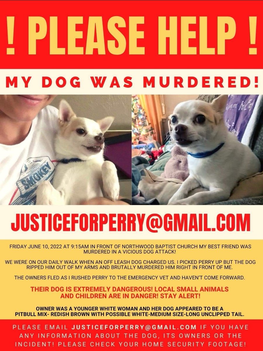 by_pets's tweet photo. Shell Lake, WI
Pit n split
#shelllake
#justiceforperry
#BSL
#pitnrun
#Pitbull
Never any justice. π€ https://t.co/Ql3GLEc7JC