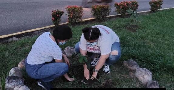 Rotaract_SBB's tweet photo. Sabían que... 
Se tiene como tradición sembrar un árbol por cada visita de Gobernador, este año fue la primera visita presencial, para nuestro club*, y sembramos nuestro primer árbol.

Foto recuerdo de siembra de árboles emblemas, por la visita del Gobernador Guillermo Muriel. https://t.co/1wOfQQqOWX
