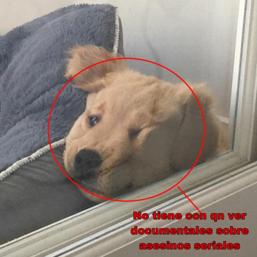 死. lêsath (@lsgvth) on Twitter photo 