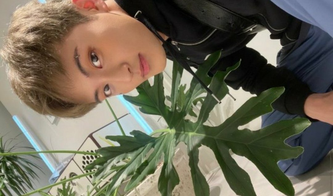 MXMONBEBEISRAEL's tweet photo. @NCTsmtown_DREAM King👑
#NCT #NCTDREAM #MARK #Beatbox
#NCTDREAM_Beatbox
#Beatbox2ndWin
@NCTsmtown
@NCTsmtown_DREAM https://t.co/Qau15xUMjM