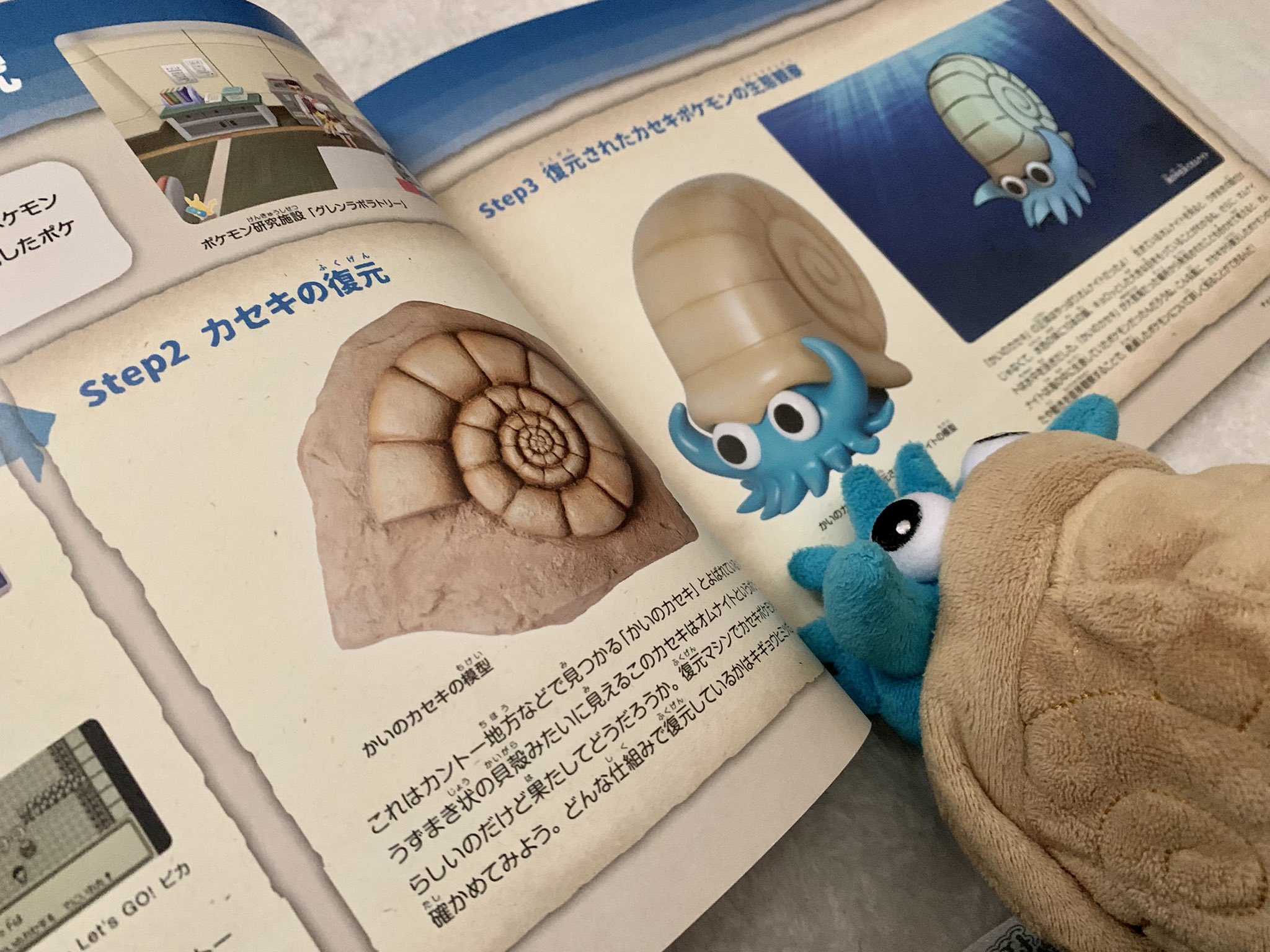 ちいさなオムナイト 余韻に浸る ポケモン化石博物館 T Co Xvoumnlqab Twitter