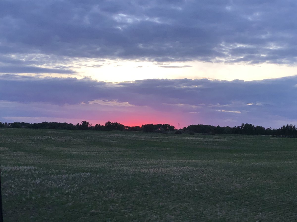 Walkerfarm306's tweet photo. #LandoftheLivingSkies #Wheat #NwSask https://t.co/1ulTooLH4K