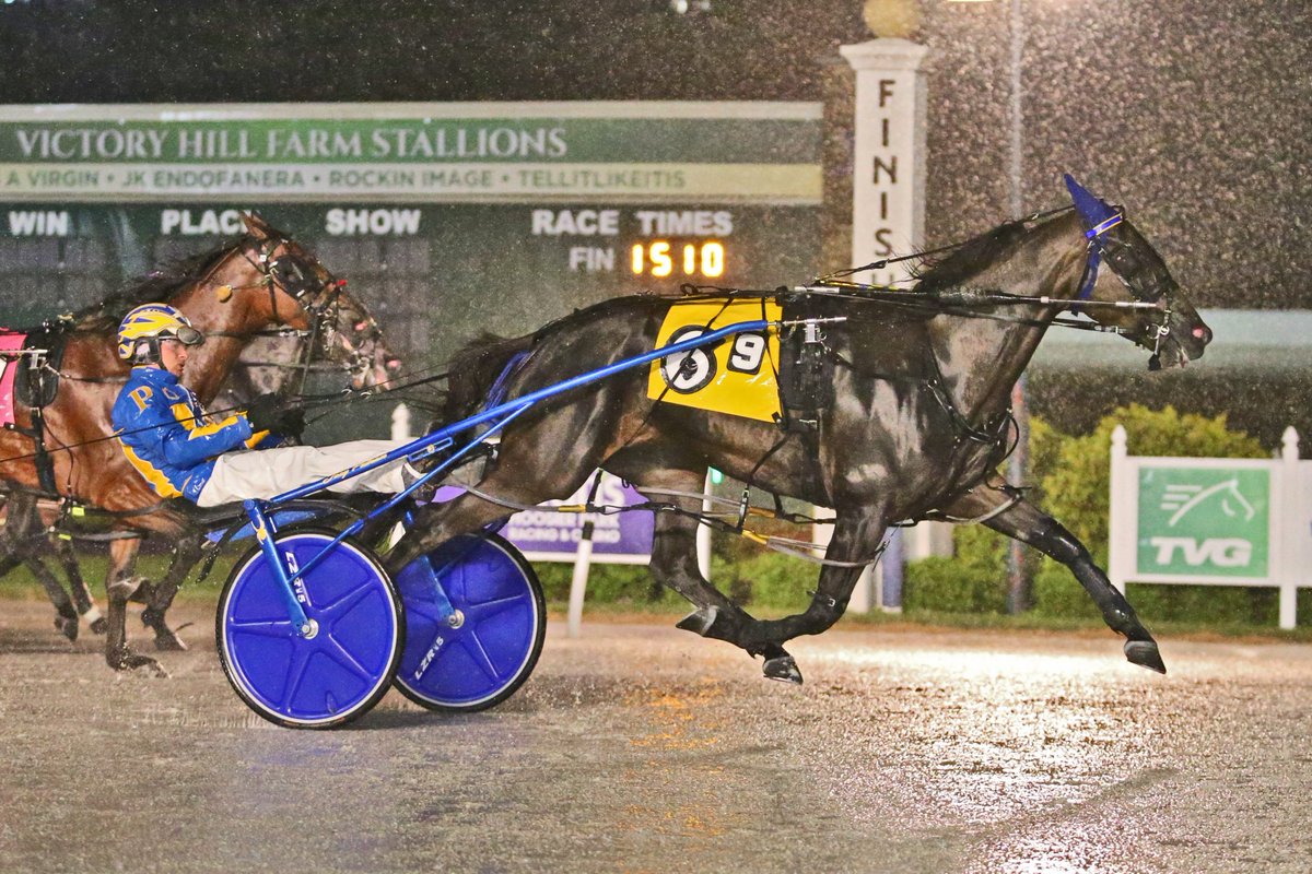 HoP_Racing's tweet photo. Congratulations to the connections of Rockin Nola winner of tonight's Filly and Mares Open Pace in 1:51:0 with Driver Joey Putnam for Trainer Joe Putnam! #PlayHP https://t.co/vhbjniRxCW