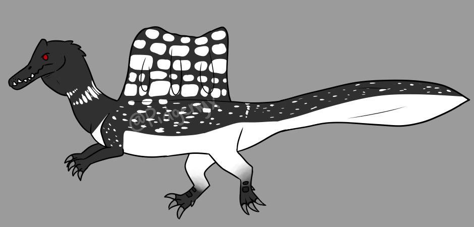 pidgenyx's tweet photo. Been thinking about spinosaurus a lot lately. I personally think it'd be very neat if they shared both appearance and habits with the common loon so I drew it! This is just for fun please be kind. #spinosaurus #paleoart https://t.co/wYLfHtzkz4