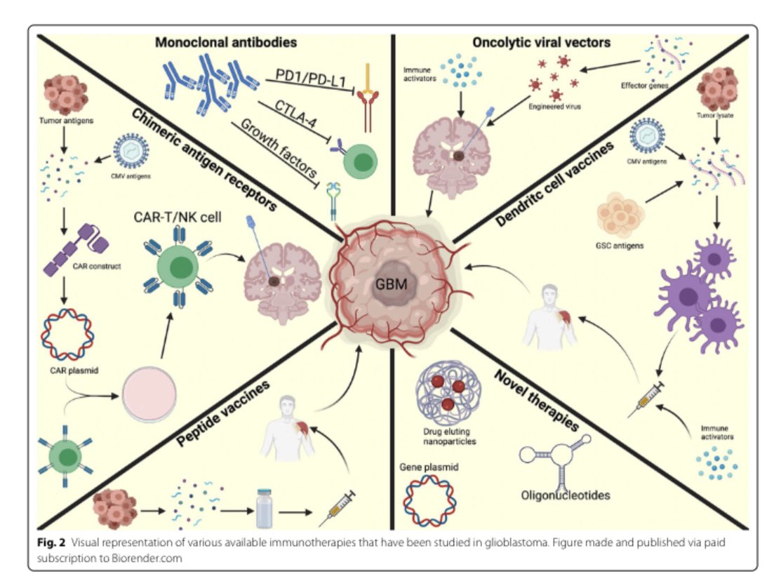 Zihai's tweet photo. Congrats to @DanKreatsoulas @chelsea_bolyard and others for providing a comprehensive review on immunotherapy of GBM. https://t.co/aqiJ30T3Gg https://t.co/q28YGwuIGf