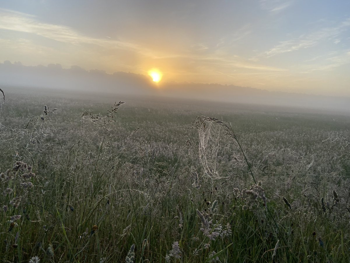 PharmaSmiles's tweet photo. Sussex Sunday dawn running #pulborough #nobearshere @susieokeeffe 😂 #canada https://t.co/f43hG0O311