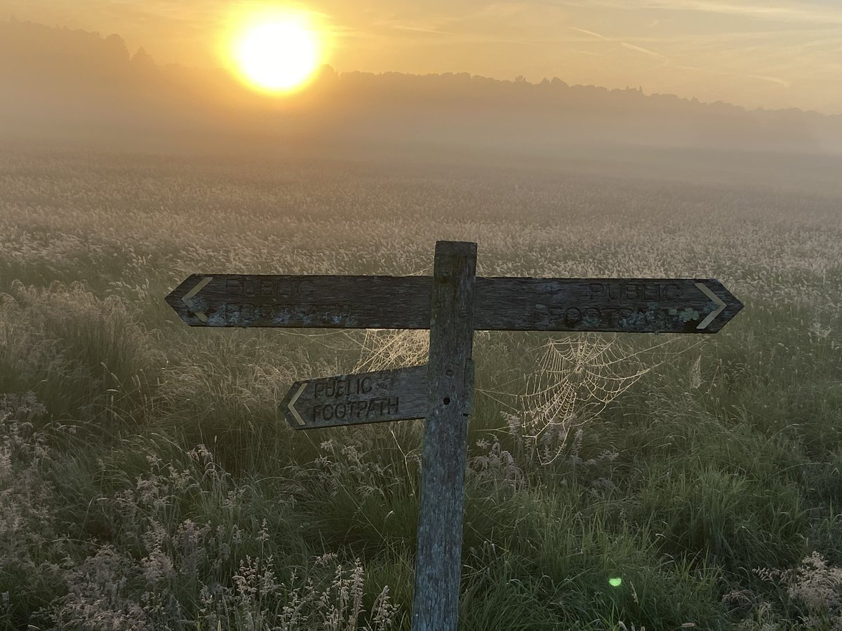 PharmaSmiles's tweet photo. Sussex Sunday dawn running #pulborough #nobearshere @susieokeeffe 😂 #canada https://t.co/f43hG0O311