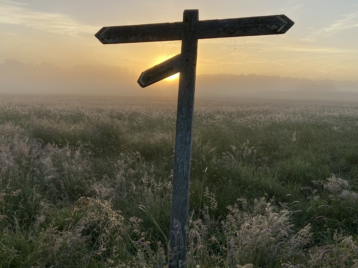PharmaSmiles's tweet photo. Sussex Sunday dawn running #pulborough #nobearshere @susieokeeffe 😂 #canada https://t.co/f43hG0O311