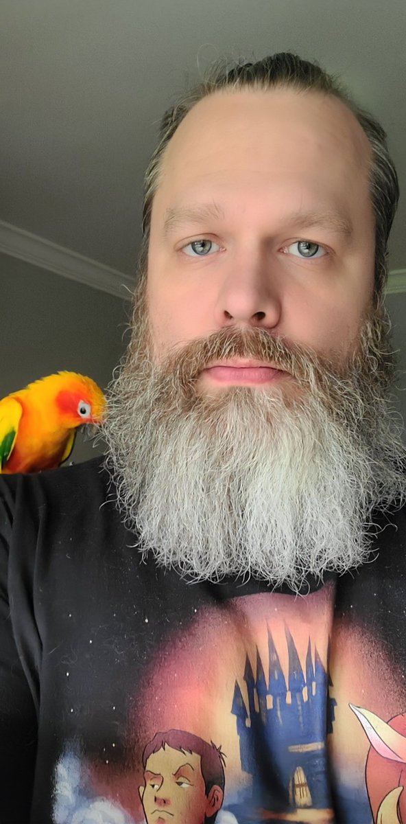Dramateacher79's tweet photo. He's behind me, isn't he... #Apollo #SunConure #FindFamiliar https://t.co/2r3blHtQrh