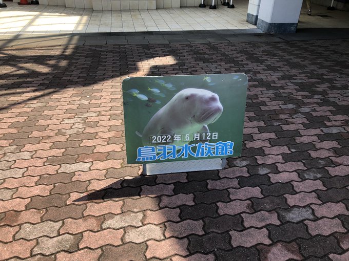 A Npyzapiotb1m