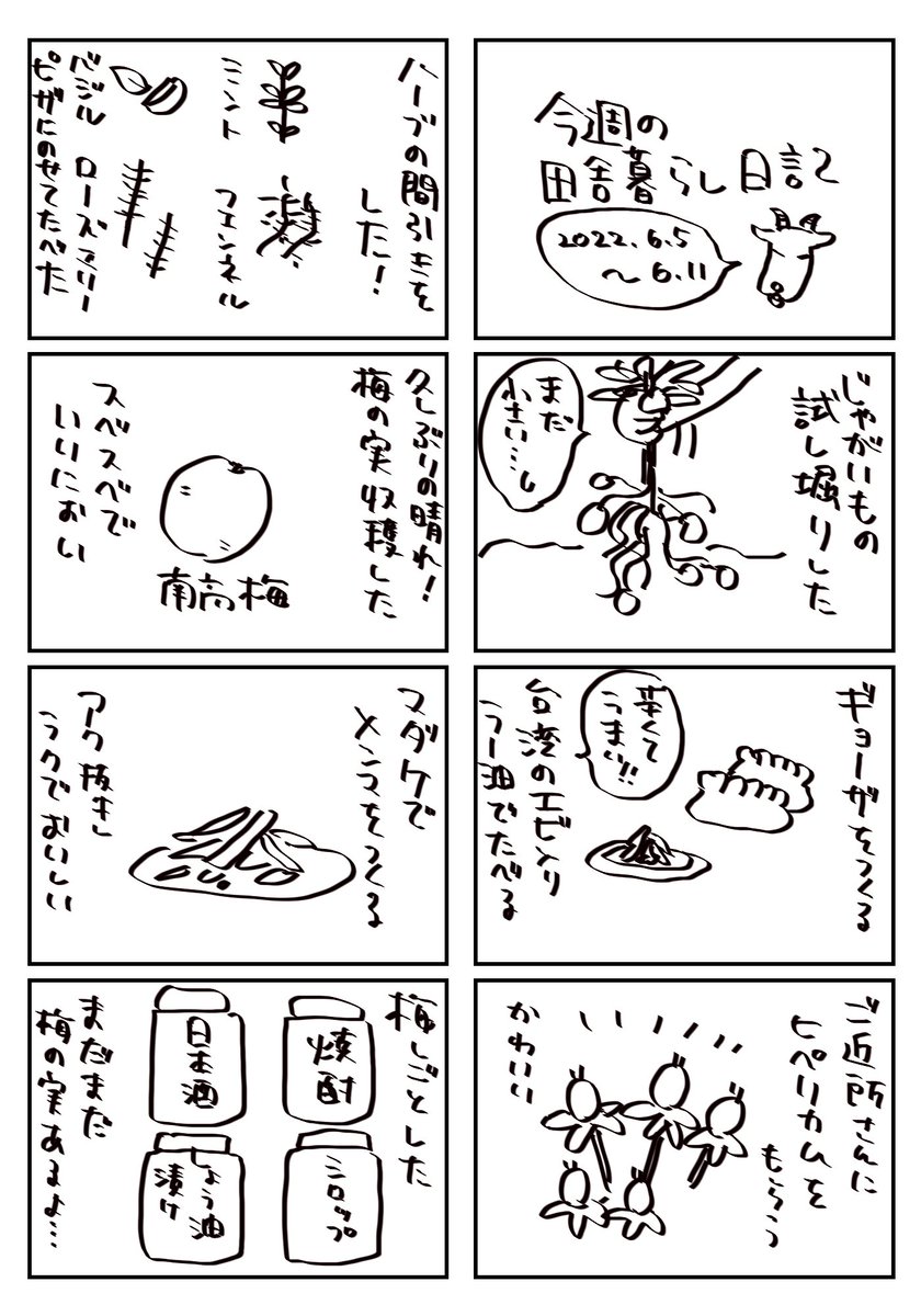 今週の田舎暮らし日記🌷 #コルクラボマンガ専科 