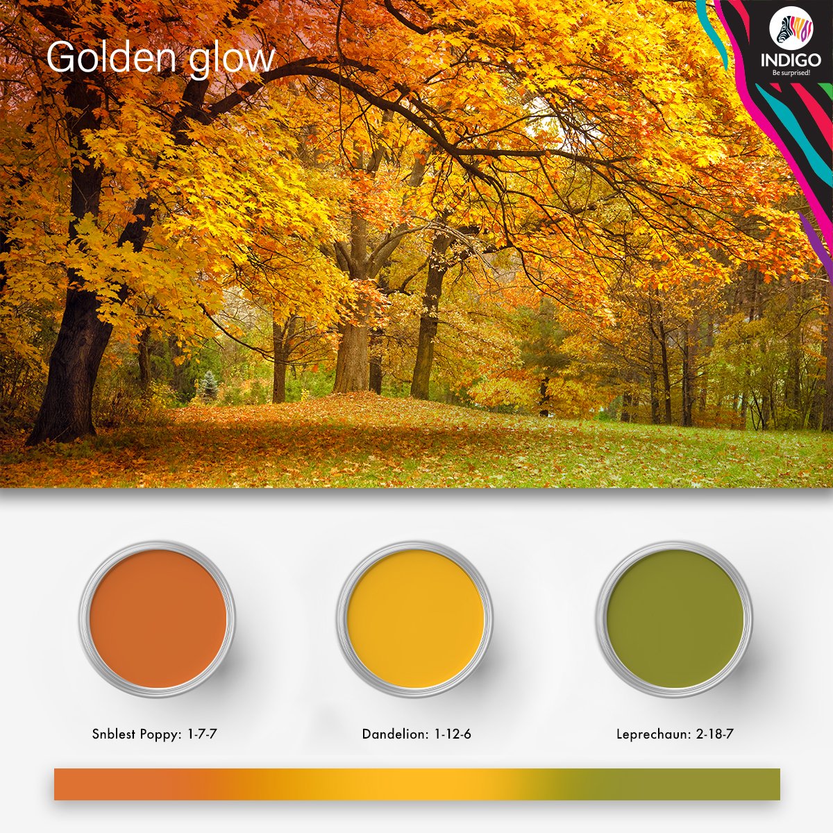 indigopaints's tweet photo. Make a grand statement with golden hues.
Adding subtle touches of gleaming gold into home interiors never goes out of style.
#IndigoPaints #BeSurprised #Golden #Bright #Shine #ShadesOfGold #WallPaints #Colours #Walls #Home #NatureInspired https://t.co/WGXcFPLTPJ