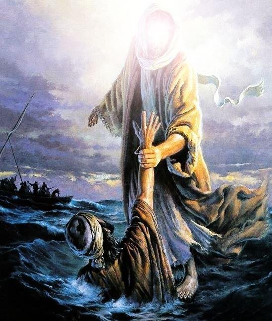 sh_darabi's tweet image. آب زنید راه را هین که نگار میرسد
مژده دهید باغ را بوی بهار میرسد
راه دهید یار را آن مه ده چهار را
کز رخ نوربخش او نور نثار میرسد
إِنَّهُمْ يَرَوْنَهُ بَعِيدًا
وَ نَراهُ قَرِيباً
#اللهم_عجل_لوليك_الفرج