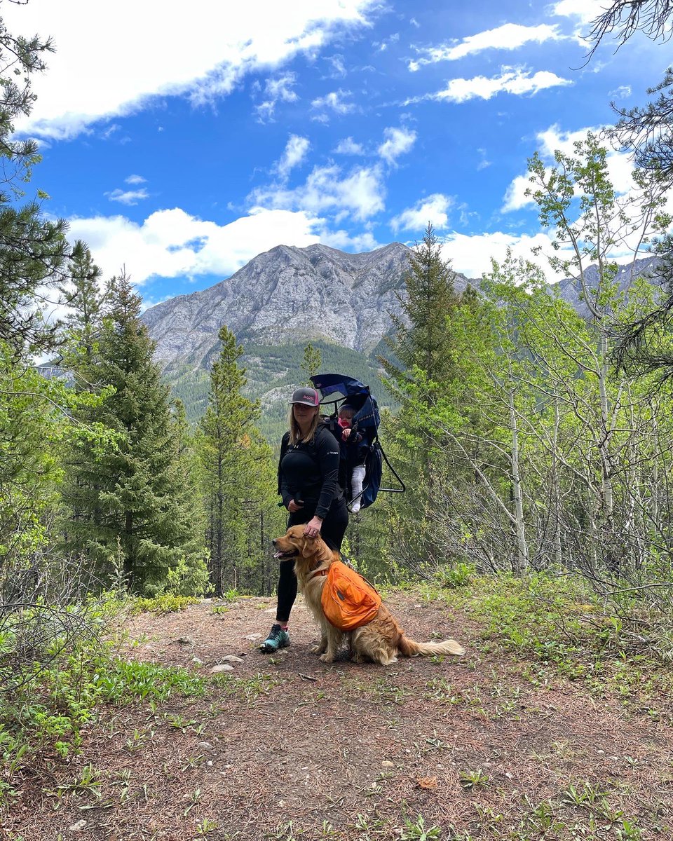 btadventures0's tweet photo. Awesome hike around Troll Falls today! #trollfalls #hike #hikealberta #hikingwithchildren #dogswhohike #adventuredog #toddlerswhohike #blog #blogger #ckd #dogsoftwitter #toddlerlife #toddlersoftwitter #goldenretriever #alberta https://t.co/n4ixv46mCE