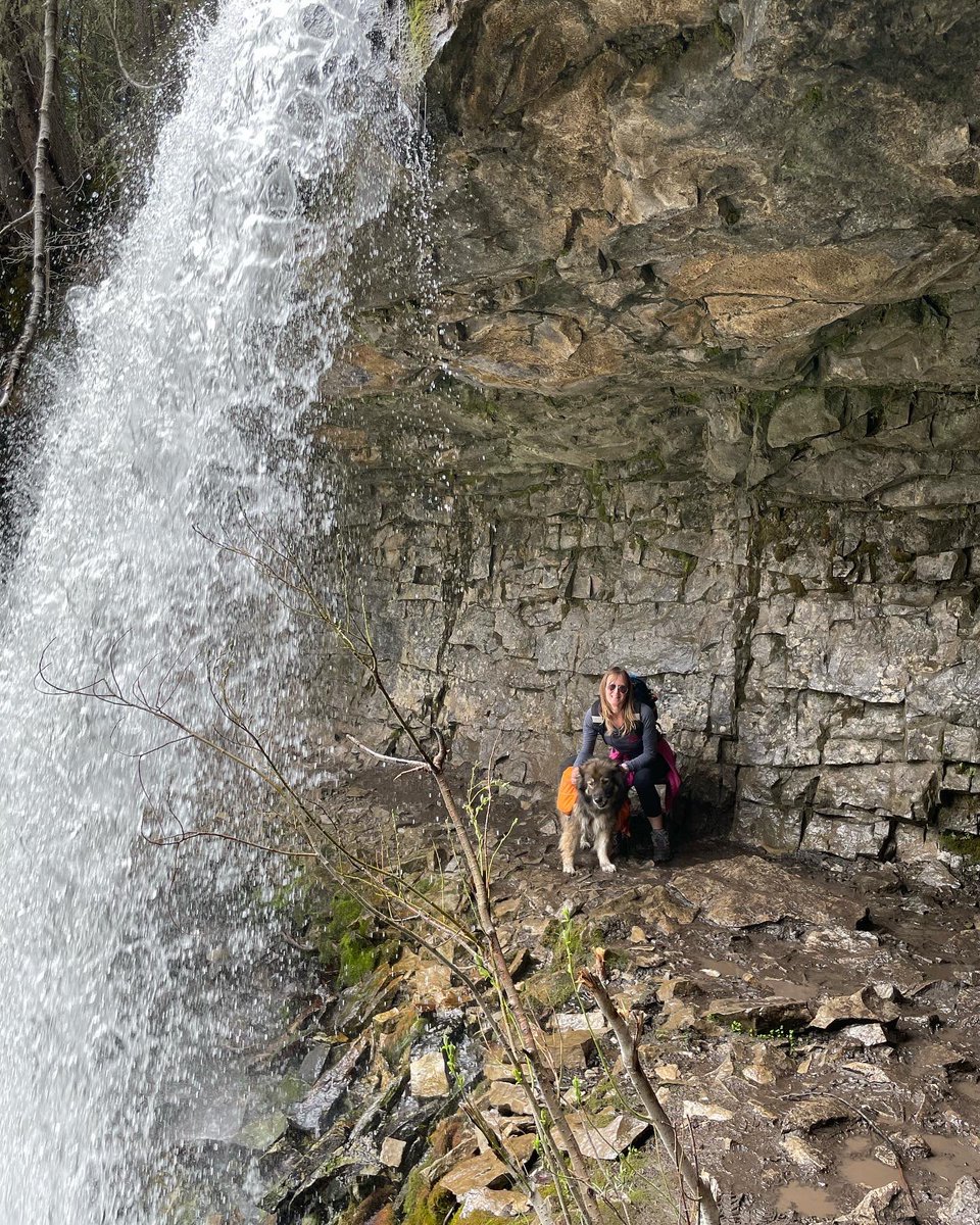 btadventures0's tweet photo. Awesome hike around Troll Falls today! #trollfalls #hike #hikealberta #hikingwithchildren #dogswhohike #adventuredog #toddlerswhohike #blog #blogger #ckd #dogsoftwitter #toddlerlife #toddlersoftwitter #goldenretriever #alberta https://t.co/n4ixv46mCE