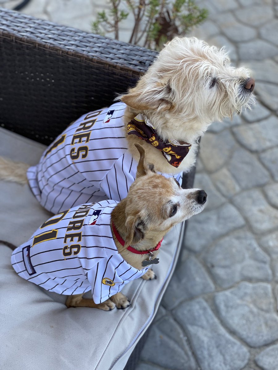 MollyCook4's tweet image. #PadresPets