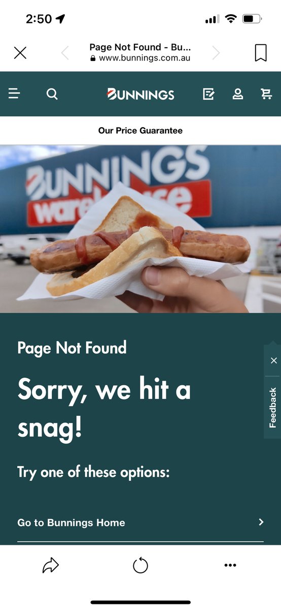 Caitlin Sharp tweet media