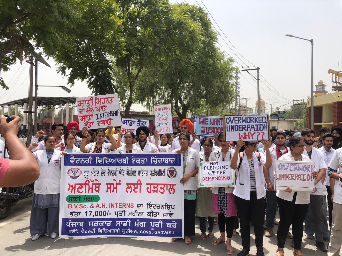 GadvasuVetUnion's tweet photo. Day 7 of protest for #IncreaseInternshipAllowance from 6200/- to 17000/- 
Healers should not get chillars🪙#Gadvasustudentsonstrike #Gadvasuvetunion  @KuldeepSinghAAP @avenuprasad1963 @BhagwantMann @PunjabGovtIndia @AAPPunjab @HarpalCheemaMLA @ArvindKejriwal @PrimeAsiaTV https://t.co/OIl2RHtUgR