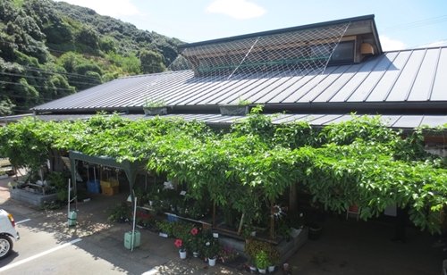 info37581876's tweet photo. Give it a Like! 
いいね、頂ければ嬉しいです。
Greening is our social responsibility. Plants absorb CO2 and grow large. The shade of the trees cools the atmosphere.
植物は大気中のCO2を吸収し大きく成長

#StartupWorldCup 
@SWC2022
#SuzutatougeNouen https://t.co/8j5W3jfMFP