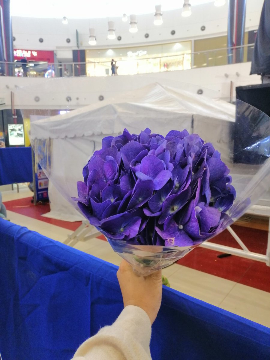 AXoxoJ1's tweet photo. Walang ibang flowers ang pumukaw ng atensiyon ko.. Kundi ito. HAHHAHAHA

Maabot ko kaya ito kung nagpapanic na ako? 

See you later #HALAYA ko. 💙💜

@JoshCullen_s
@SB19Official
#JoshCullenAtHMGSKN2022 https://t.co/diHHt3qgrt