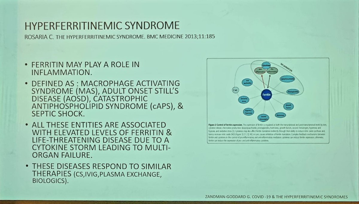 drALINAdima's tweet photo. Day 2:  #Autoimmunity2022 

Hemophagocytic lymphohistiocytosis HLH

Macrophage activation syndrome MAS

Hyperferritinemic Syndrome

COVID-19 Cytokine Storm

long-awaited meeting #TogetherInAthens https://t.co/ee2HbmL3no