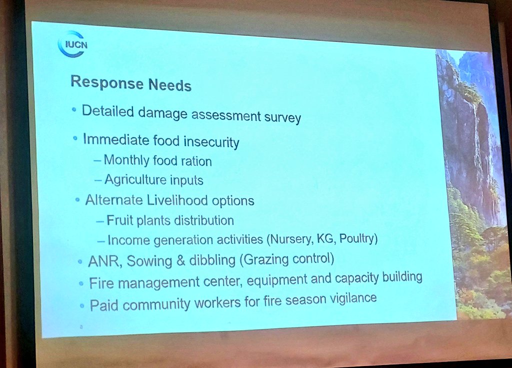 IUCN's initial assessment report of the Sherani Forest fire is really heartbreaking. - over 8 lac trees burnt - 11 billion pkr loss (chilghoza) - the forest is privately owned, owners have lost everything As per the report the forest started accidentally by nomads.