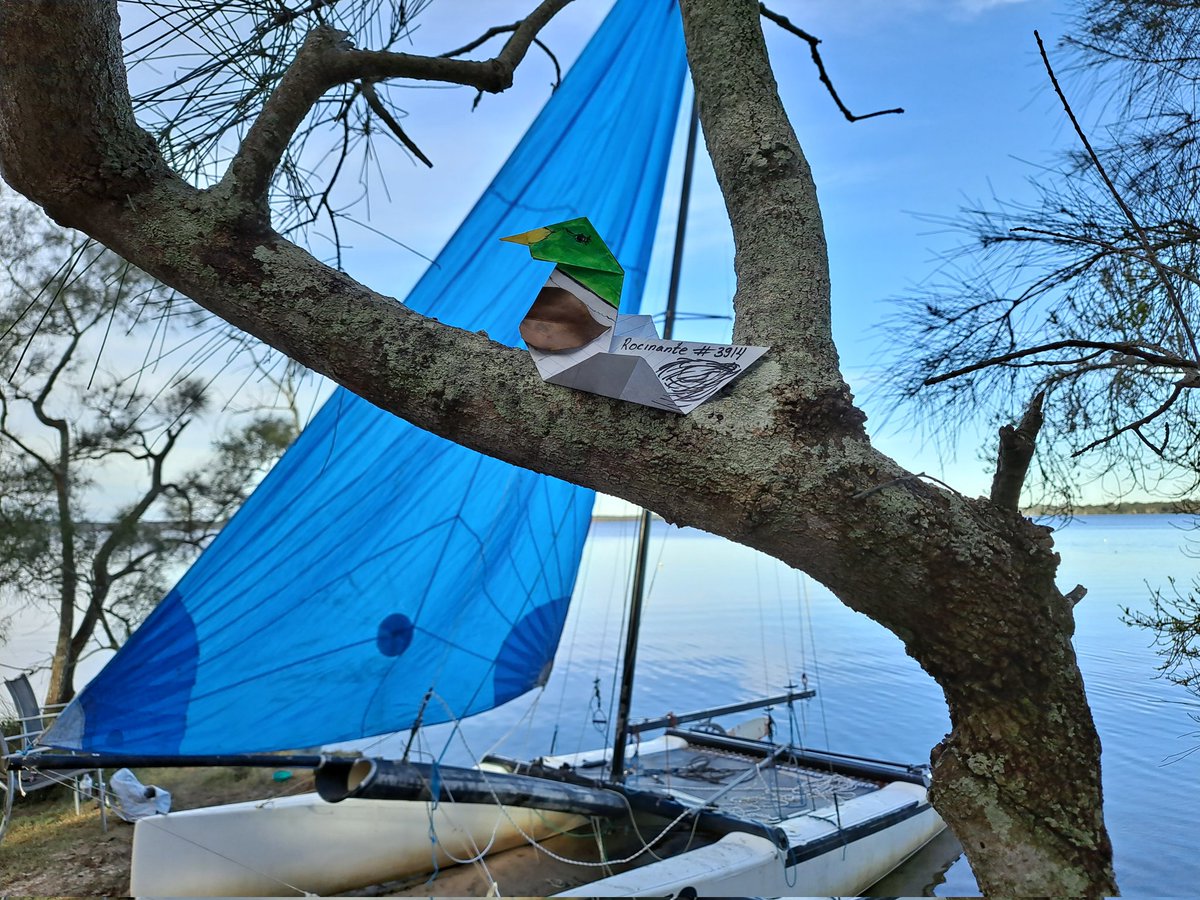 Rocinante1991's tweet photo. Heyo, just put the spinkea on.  Main sail, jib, then off for a sail!)

@MallardOrder
#MallardOrder https://t.co/0pQ2Dje3RH