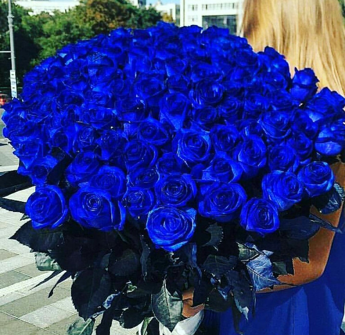Синие розы букеты с рост человека