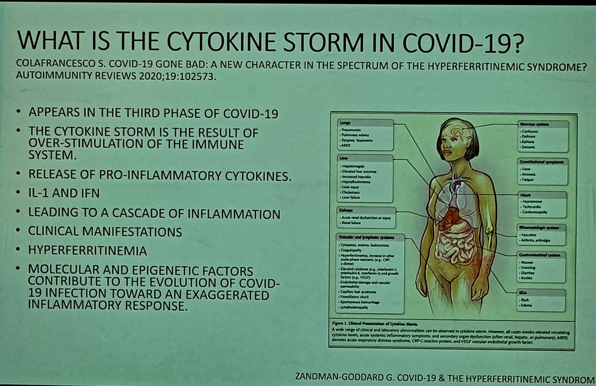 drALINAdima's tweet photo. Day 2:  #Autoimmunity2022 

Hemophagocytic lymphohistiocytosis HLH

Macrophage activation syndrome MAS

Hyperferritinemic Syndrome

COVID-19 Cytokine Storm

long-awaited meeting #TogetherInAthens https://t.co/ee2HbmL3no