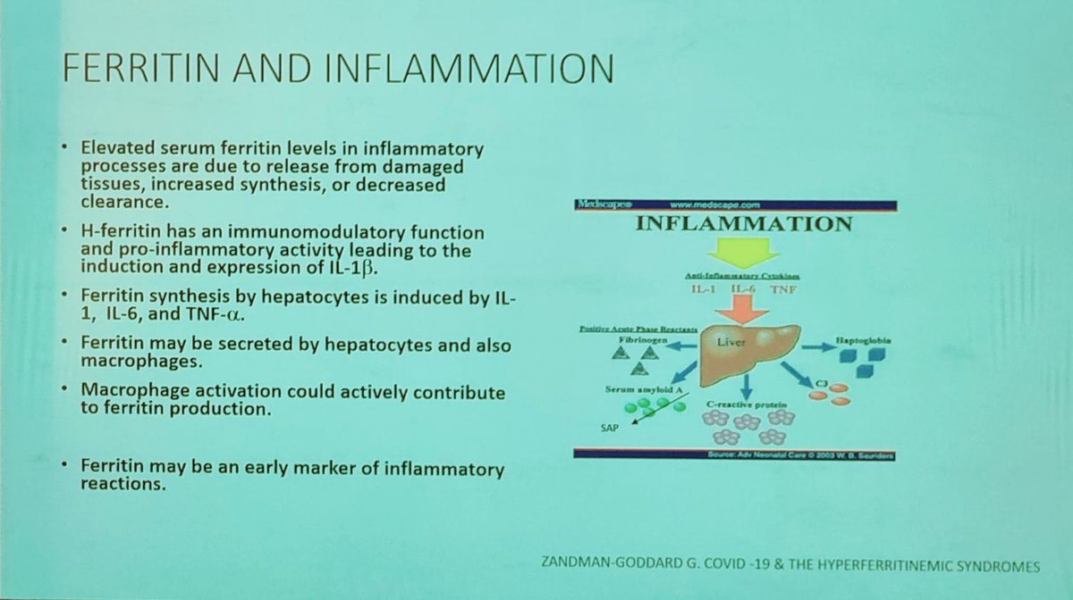 drALINAdima's tweet photo. Day 2:  #Autoimmunity2022 

Hemophagocytic lymphohistiocytosis HLH

Macrophage activation syndrome MAS

Hyperferritinemic Syndrome

COVID-19 Cytokine Storm

long-awaited meeting #TogetherInAthens https://t.co/ee2HbmL3no
