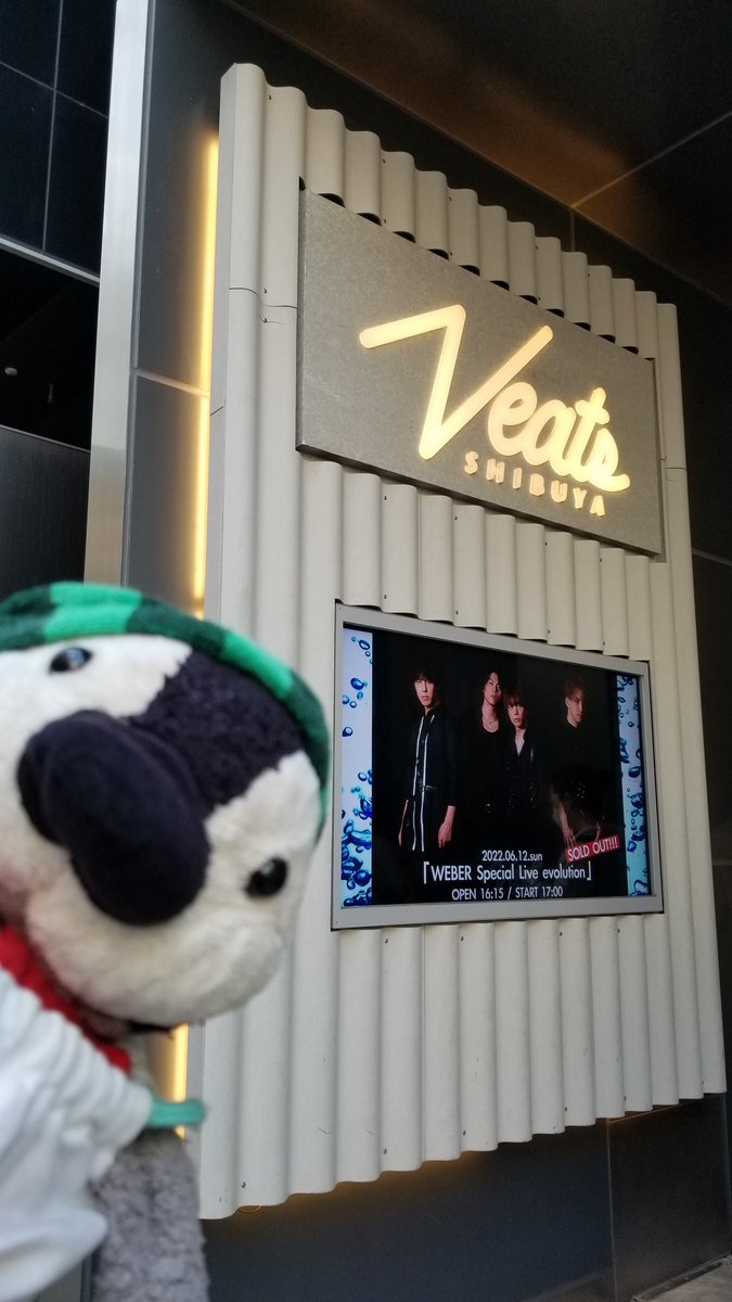 kurara_penguin's tweet photo. 配信組ですが、実は、会場の前まで行きました(ˊᗜˋ*)笑
#WEBER
#evoluation https://t.co/IWmeTjhkA5
