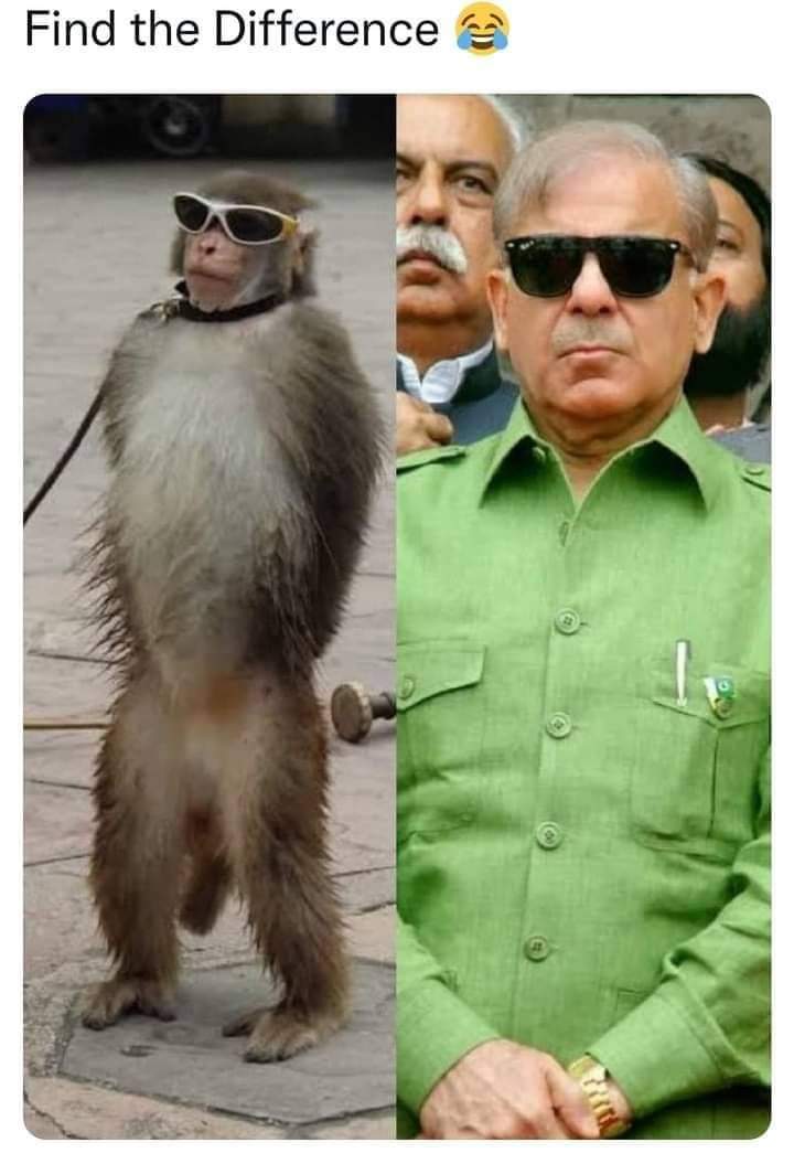 NazishA90782335's tweet photo. #anydifference between them
#bajwa_traitor
#وہ_کون_تھا
#وہ_کون_ہے
#قمرباجوہ https://t.co/sXV5mtNUmq