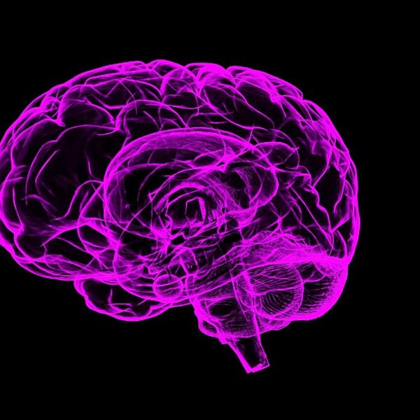 thedoctorsmail's tweet photo. Bad dreams in older adults could signal onset of Parkinson’s: Study

#thedoctorsmail #doctorsmail  #medicalnews #GlobalNews  #MedicalEdge #Alzheimer #oldage #parkinson #nightmares #baddreams #diabetes #UniversityofBirmingham #tremors #stiffness #neuroscienceresearch #EEG https://t.co/MiikXZWgVW