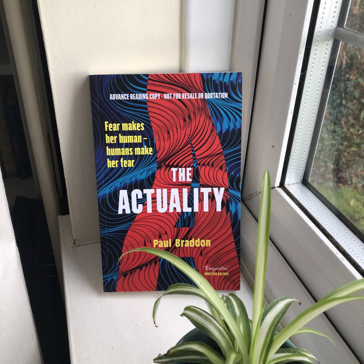 publish_planet's tweet photo. Attention!! Want new books? Go and buy some of our top SF reads of 2021 from Sandstone Press now 📖

• THE ACTUALITY by @PaulBraddon
• KINGS OF A DEAD WORLD by @jamiemollart 

Support a brilliant publisher @sandstonepress 🎉 https://t.co/L4XNUkHQ6r
