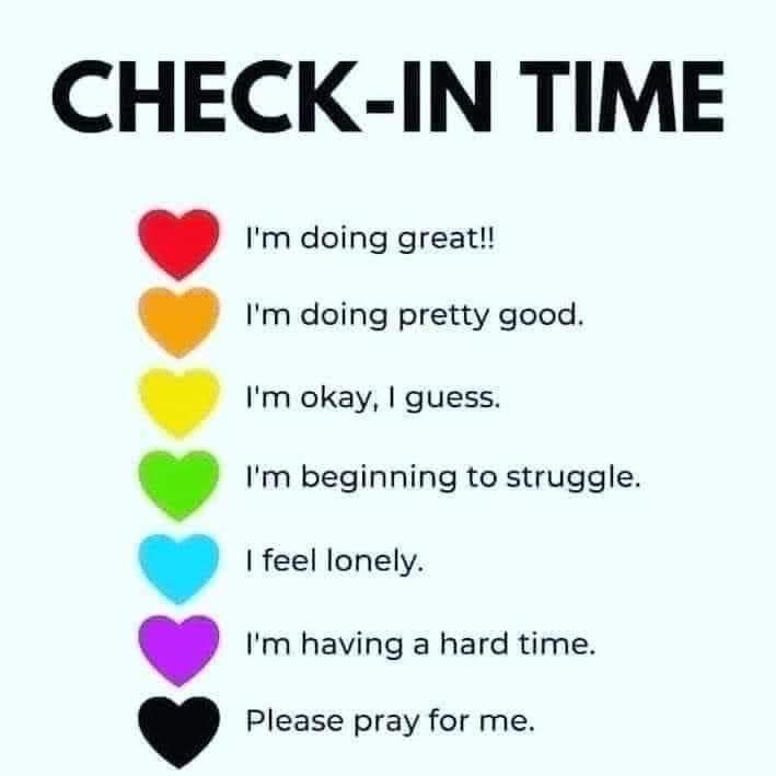 TheMenopauseDen's tweet photo. 🧡
#CheckInTime
#MenopauseMatters
#MentalHealthMatters https://t.co/aeD8f6Op0z