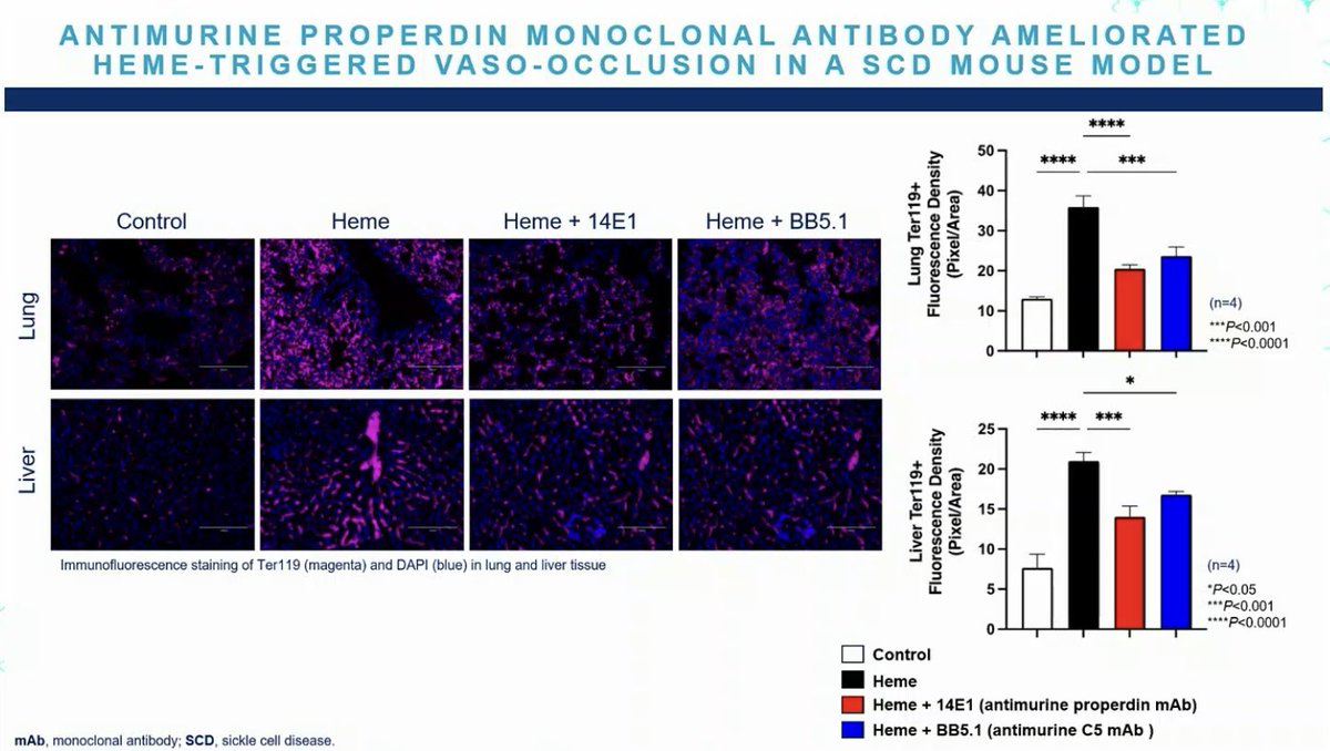 CaptainAV's tweet image. #ALXN1820, a #properdin inhibitor (properdin stabilises C3 and C5 convertase), prevents iC3b C5b-9 deposition on #SickleCell RBCs in vitro, reduces vaso-occlusion in #SickleCell mouse model
#EHA2022
Kim S et al. HemaSphere, 2022;6(S3):S267

library.ehaweb.org/eha/2022/eha20…