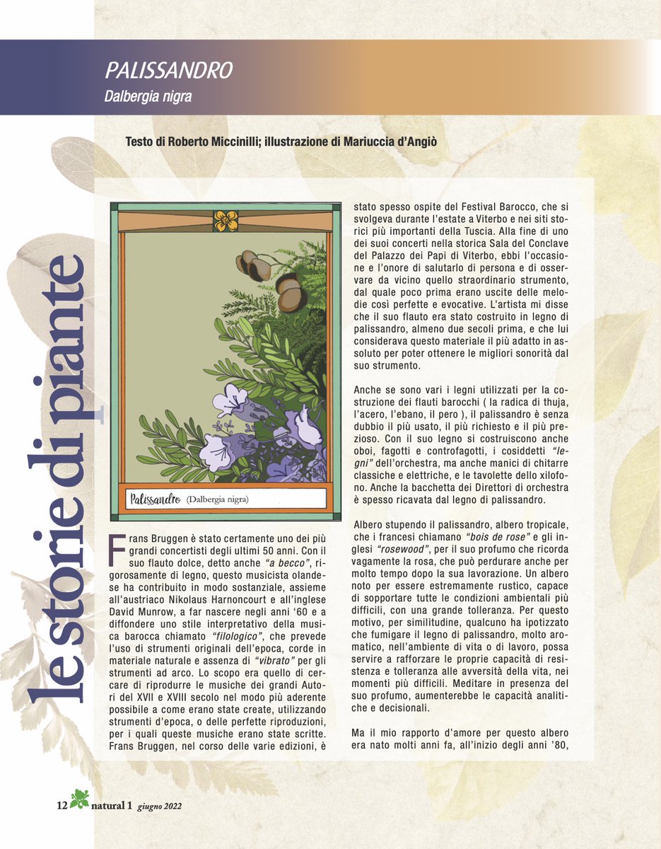 Natural1online's tweet photo. Storie di piante – Il Palissandro
clicca sul link per leggere l'intero articolo: https://t.co/RSoi3jgT79 https://t.co/hy6tvy0RmF