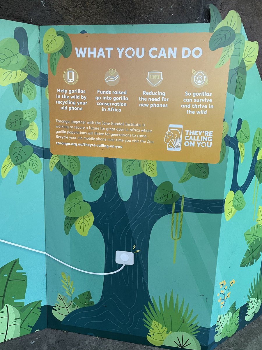 AliciaLuutt's tweet photo. Protect gorrilas by #recycling your old mobile phone; or reducing the need for new phone. https://t.co/7qoLTq9UNO