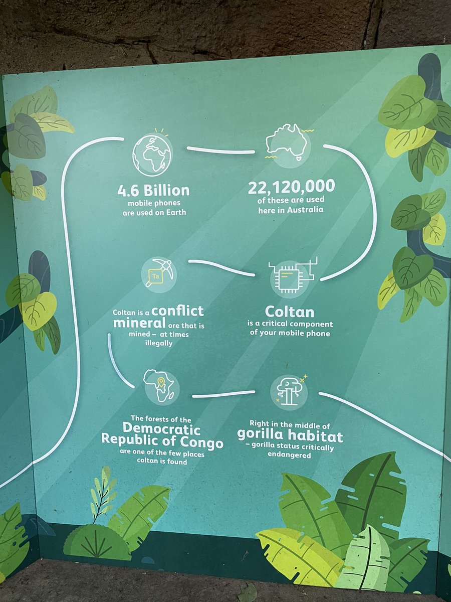 AliciaLuutt's tweet photo. Protect gorrilas by #recycling your old mobile phone; or reducing the need for new phone. https://t.co/7qoLTq9UNO