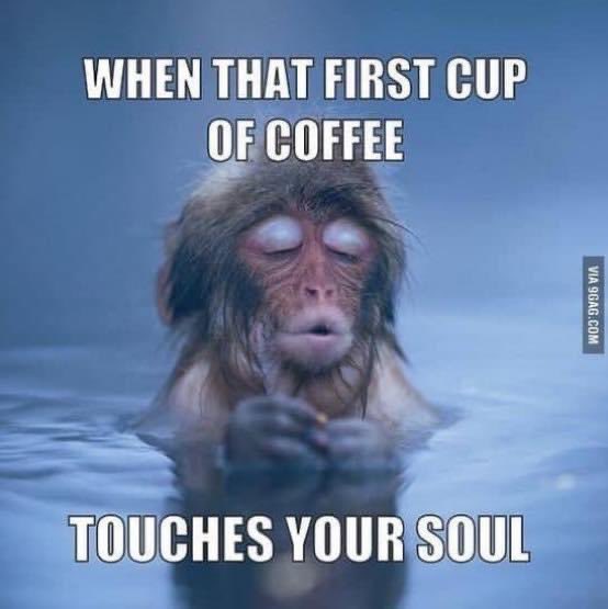 GCUC (@gcucglobal) on Twitter photo 