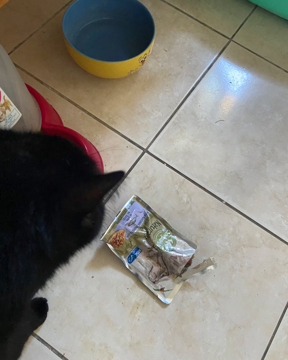 lecordierseveri's tweet photo. Je publie enfin, les tests des saveurs fraîcheurs pour chats 🐈‍⬛ 

Ces sachets fraîcheurs sont à base d’ingrédients naturels et sans colorants, arômes et conservateurs artificiels ajoutés.
#QueCestBonDetreNature #CarrefourCompanino et en @CarrefourFrance. https://t.co/O3hwjHP60T