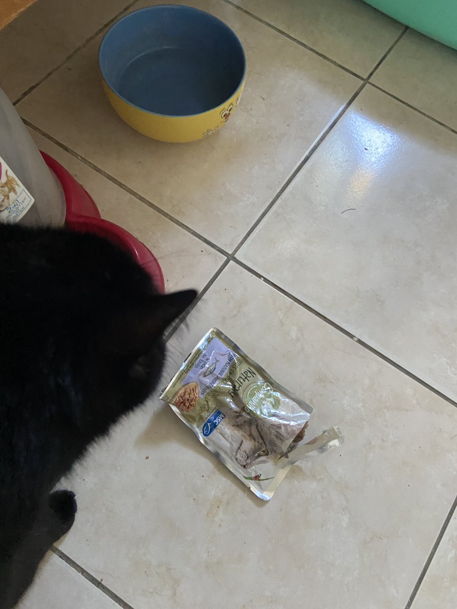 lecordierseveri's tweet photo. Je publie enfin, les tests des saveurs fraîcheurs pour chats 🐈‍⬛ 

Ces sachets fraîcheurs sont à base d’ingrédients naturels et sans colorants, arômes et conservateurs artificiels ajoutés.
#QueCestBonDetreNature #CarrefourCompanino et en @CarrefourFrance. https://t.co/O3hwjHP60T