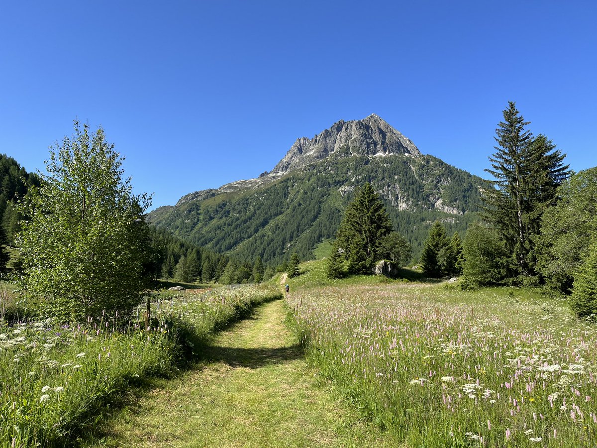 JonFielden's tweet photo. An absolutely stunning run up to the Col des Posettes and back this morning. The colour of that sky!

#chamonix #runtagit https://t.co/zBYZe76rX6