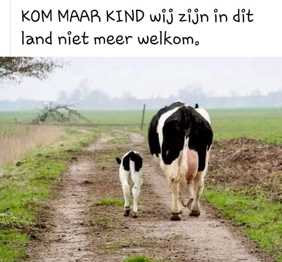 sietze plazier tweet media