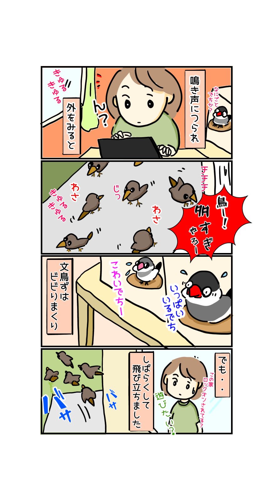 ドタバタ文鳥日記 それは一瞬の出来事でした ロックオン ロックオン 文鳥 ムクドリ イラスト 漫画 漫画が読めるハッシュタグ 四コマ漫画 ロックオン T Co Qdolqwel8u Twitter