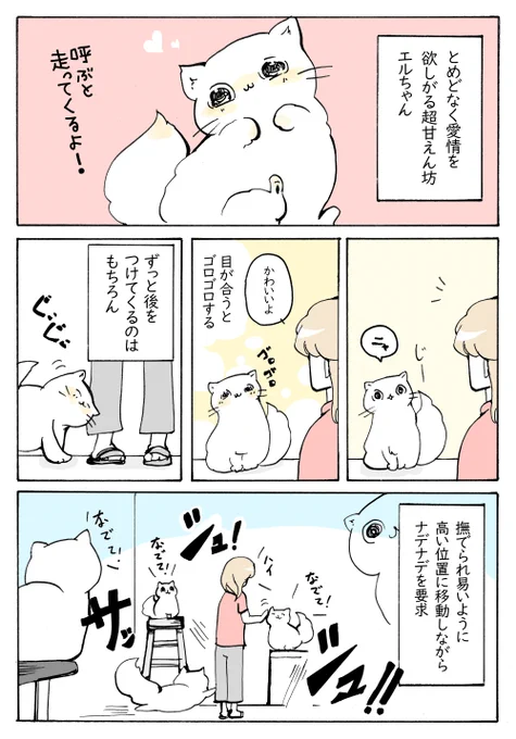 愛が重い猫
【日常㉚】https://t.co/wooO4aBBoR 