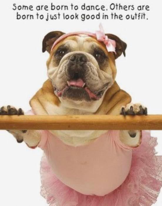 MillynGeorge (@millyngeorge) on Twitter photo 