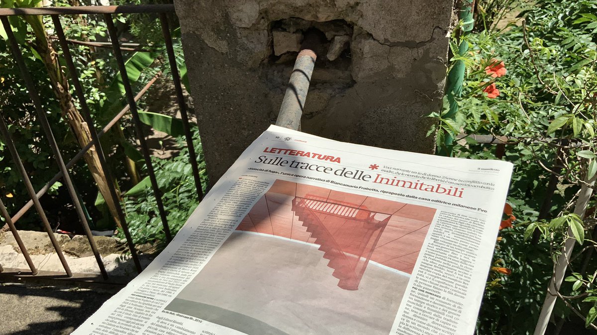 bmfrabotta's tweet photo. Un romanzo per non fare della letteratura (al) femminile un genere minore: oggi sul «manifesto» paginone di Laura Fortini sulla riedizione di Velocità di fuga per Fve. https://t.co/Dj2heuc3i1